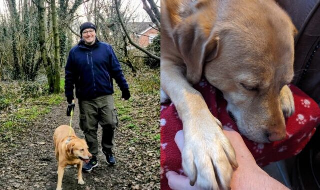 man and pet dog both diagnosed with kidney cancer at the same time