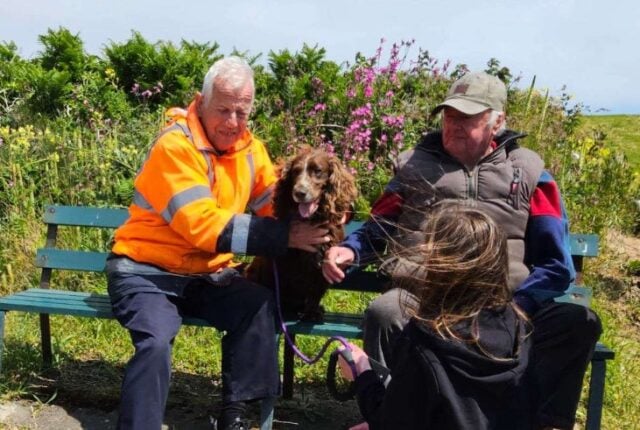 Dog Rescued At Guernsey Coast After Spotted by Kayakers