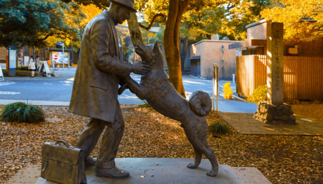 Hachiko At 100: Remembering the World’s Most Loyal Dog