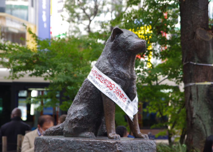 Hachiko turns 100