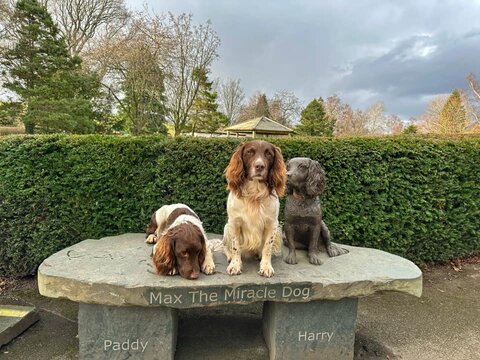 Max the Miracle dog bronze statue at Keswick Hope Park