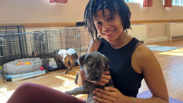 Teckels Animal Sanctuary New Yoga Classes Mix Puppies And Workouts Image By: Video Journalist Dan Ayers BBC