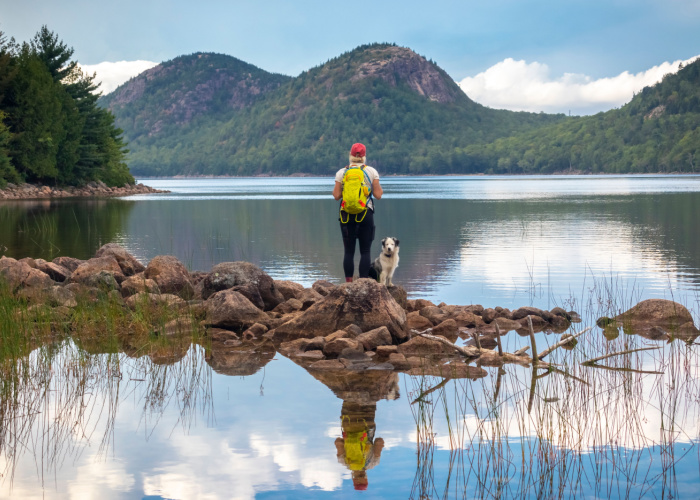 dog-friendly acadia park