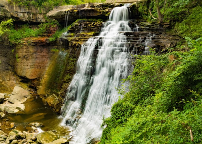 dog-friendly cuyahoga park