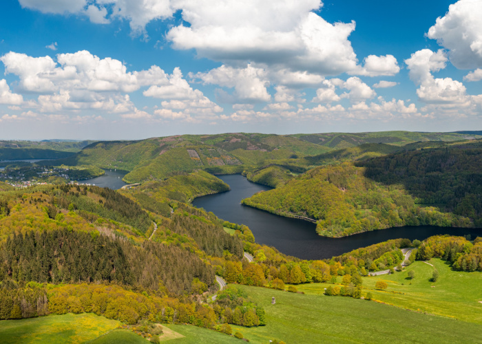 dog-friendly eifel park