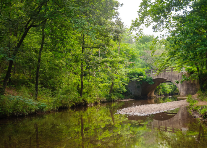 dog-friendly hot spring park