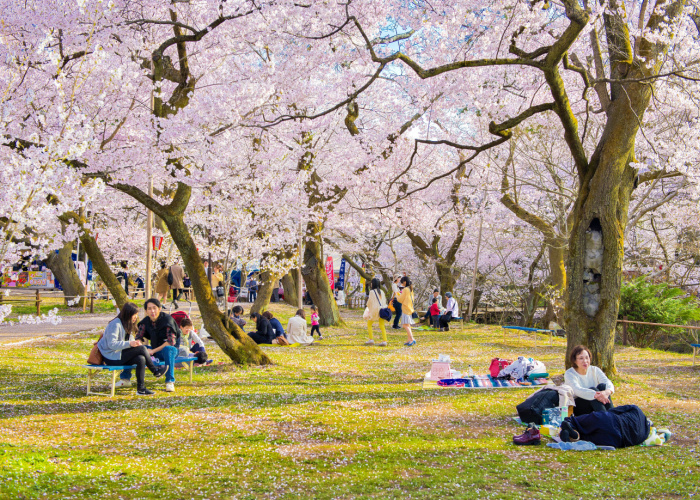 dog-friendly yoyogi park