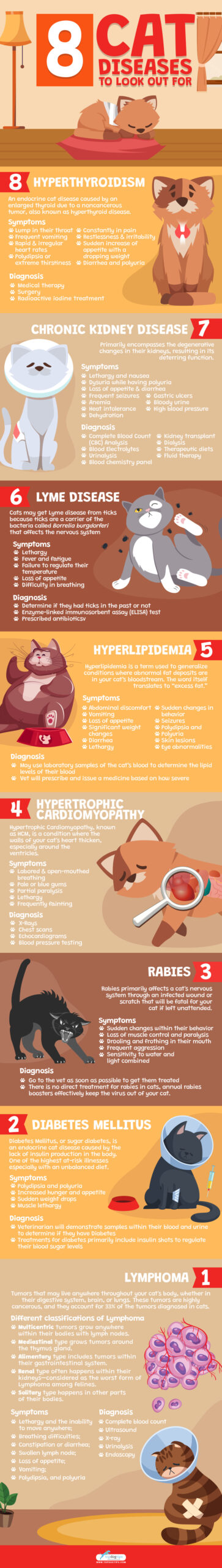 8 Cat Diseases To Look Out For Infographic