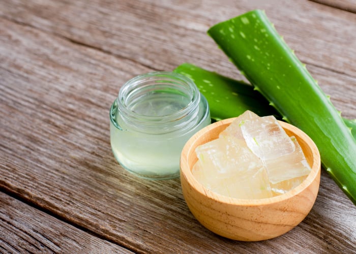 Aloe Vera For Dogs