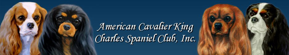 American Cavalier King Charles Spaniels Club, Inc. logo