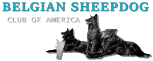 Belgian Sheepdog Club of America logo