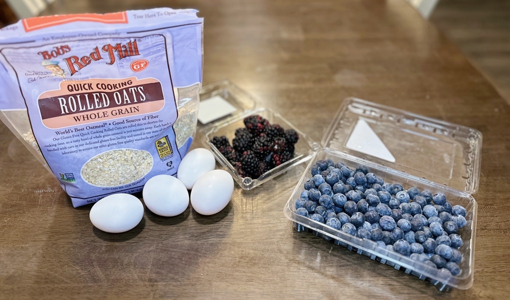 Berry Oatmeal for Dogs