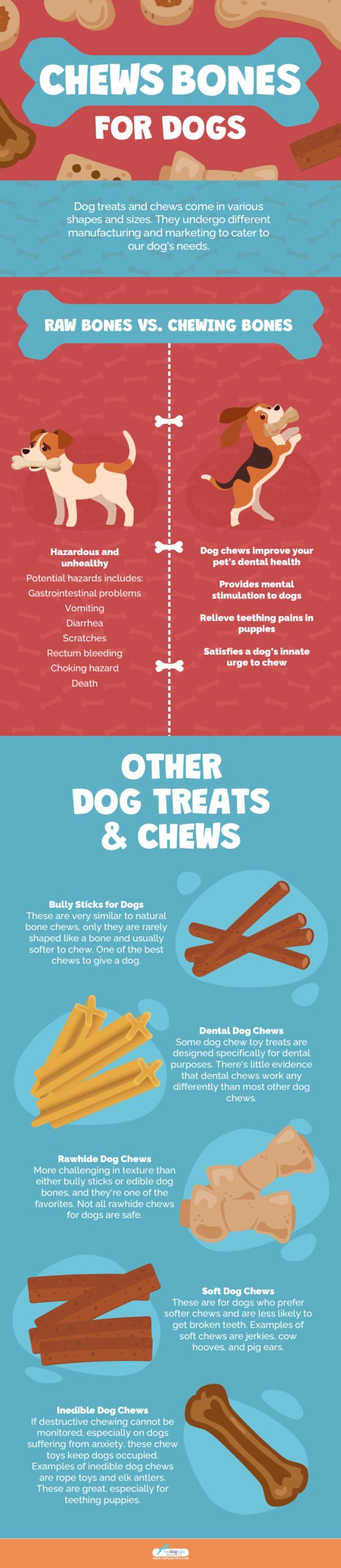 Best Bone Chews Recommended for Any Dogs to Snack On Infographics #1