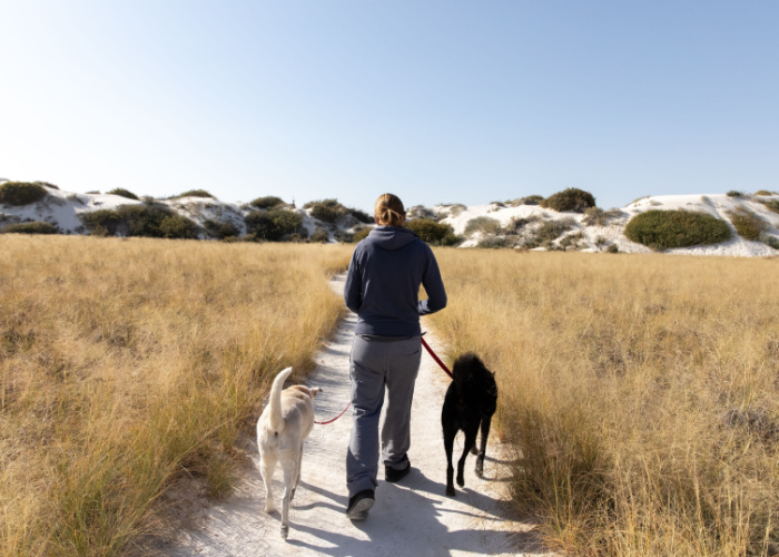 Best Dog Parks in New Mexico