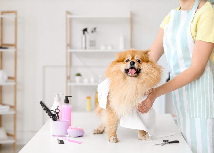 Best Pet Groomers in New Mexico