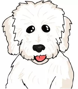 Complete Coton de Tulear Guide logo