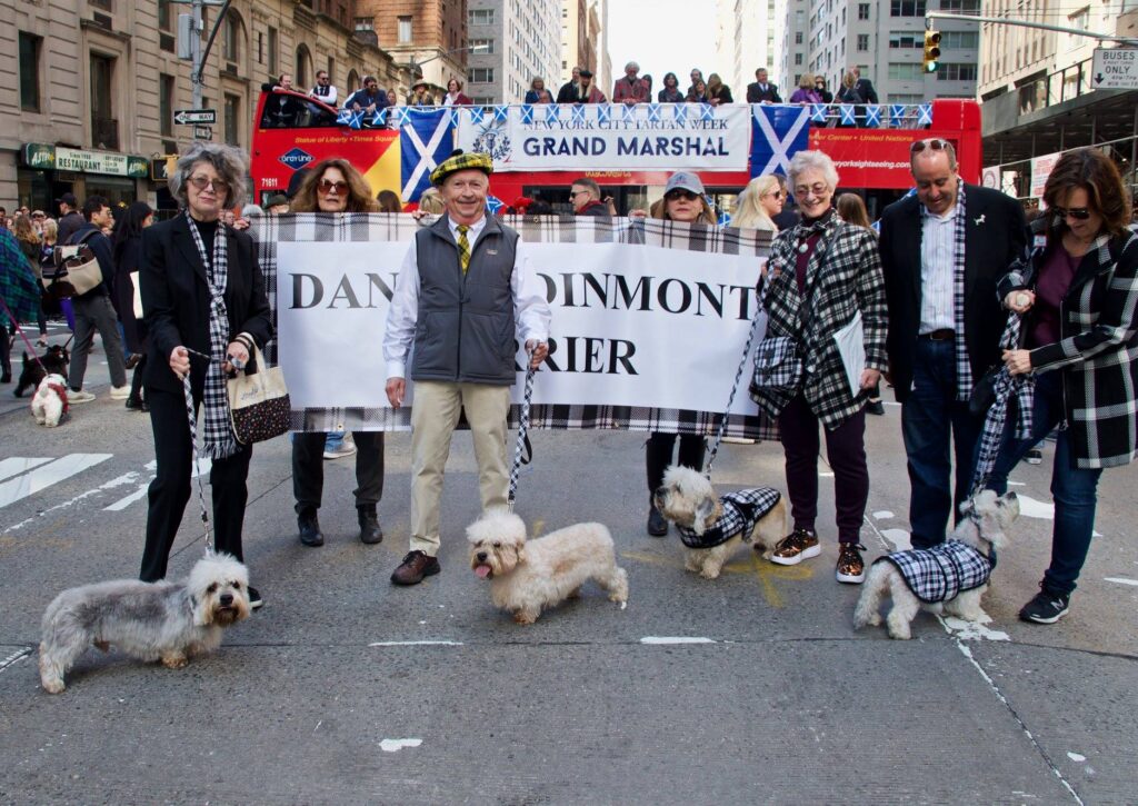 Dandie Dinmont Terriers Tartan Day Parade