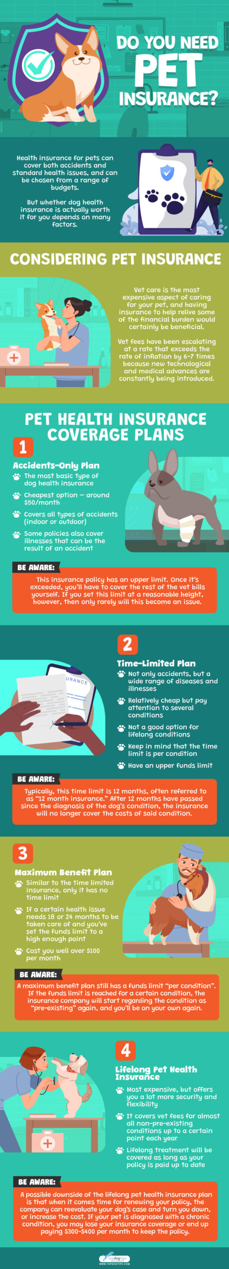 Do You Need Pet Insurance Infographic