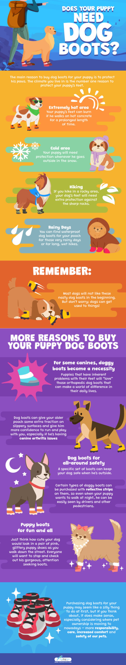 Does Your Puppy Need Dog Boots Infographic