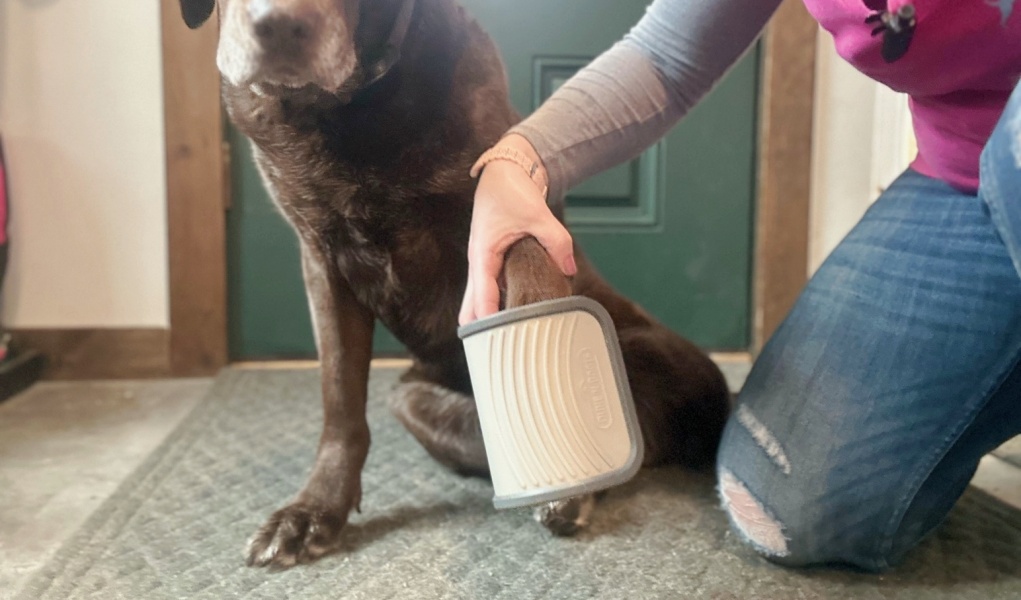 Dog Paw Washer