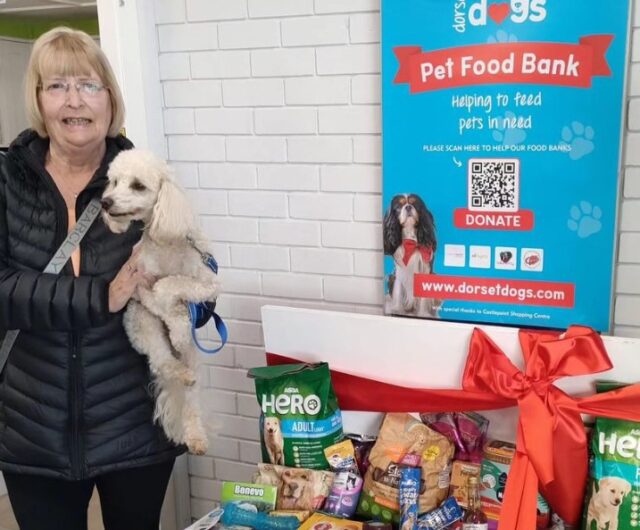 Dorset Pet Food Bank Expands as Needs Arise in Boscombe