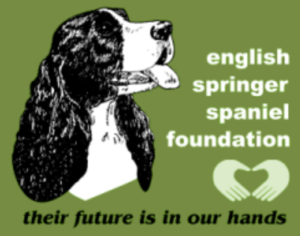 English Springer Spaniels Foundation logo