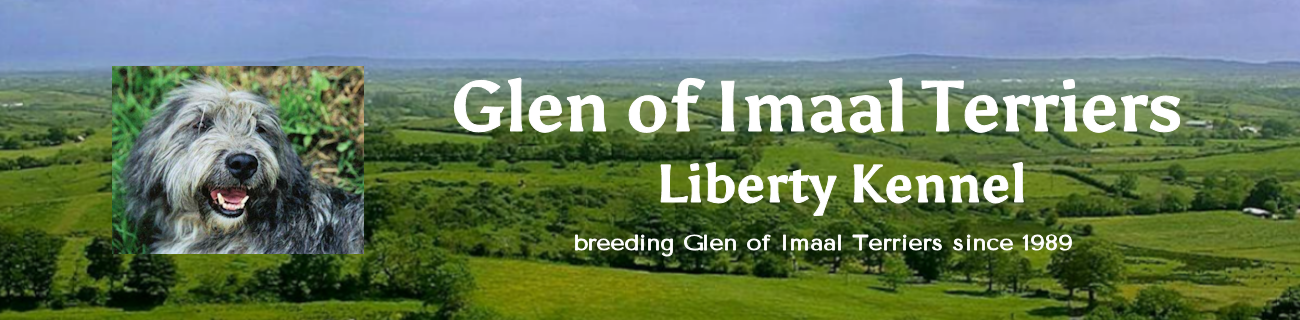 Glen of Imaal Terriers Liberty Kennel logo