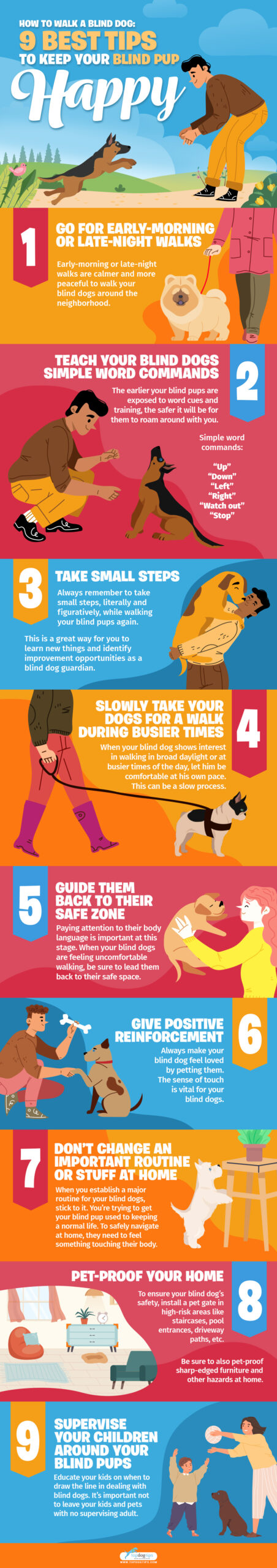 How to Walk a Blind Dog: Tips to Make them Happy - Infographics #2 