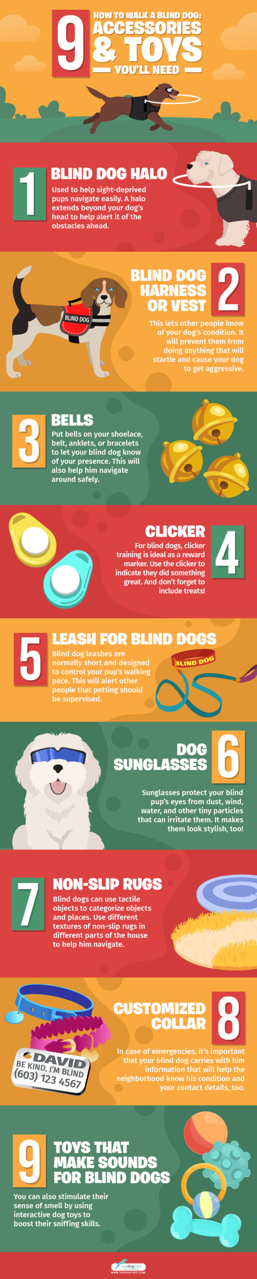 Toys and Accessories for Bling Dogs - Infographics #3