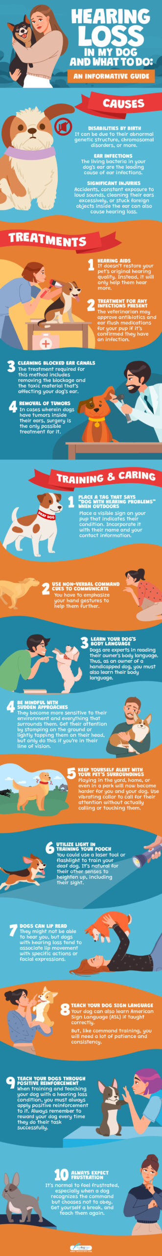  Hearing Loss In My Dog And What To Do Infograph