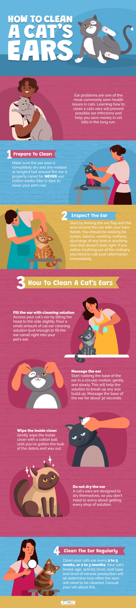 How To Clean A Cat’s Ears Infographic