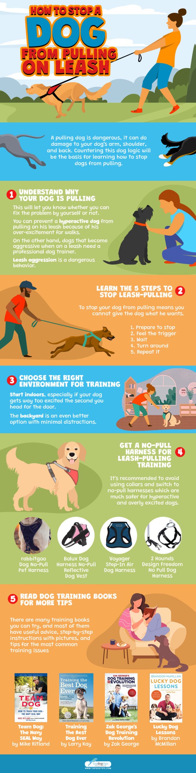 How To Stop A Dog From Pulling Infograph