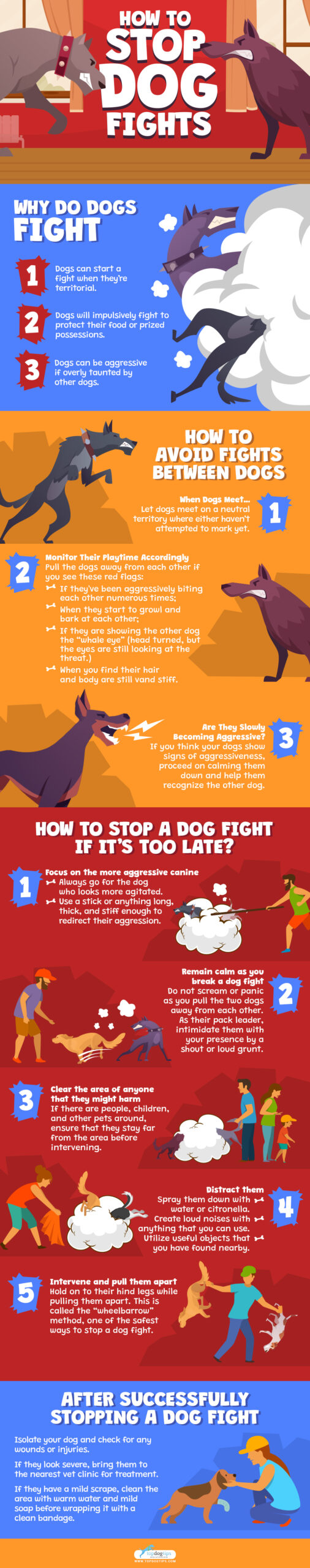 How To Stop Dog Fights Infograph