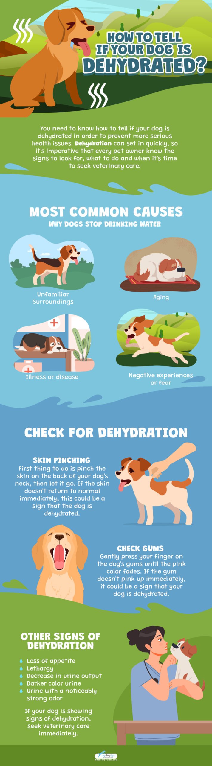 How To Tell If Your Dog Is Dehydrated Infographics