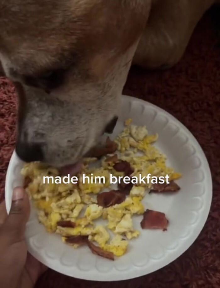 Kane's last breakfast of bacon and eggs