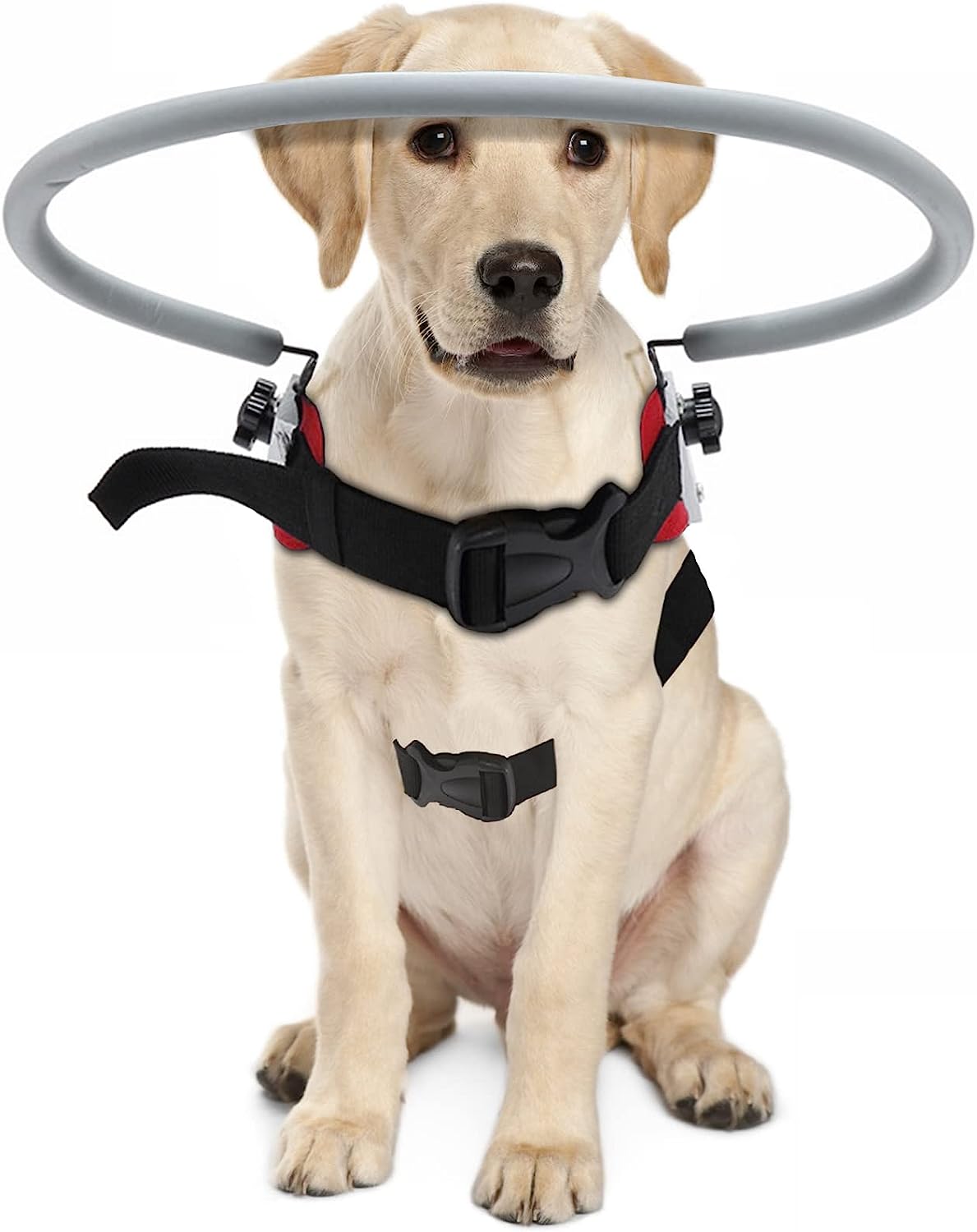 M MAXTOMO Blind Dog Harness Guiding Device