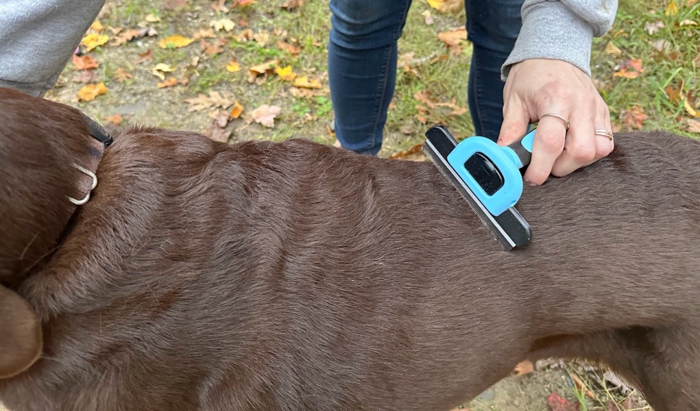 MIU Color Deshedding Tool