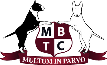 Miniature Bull Terrier Club logo