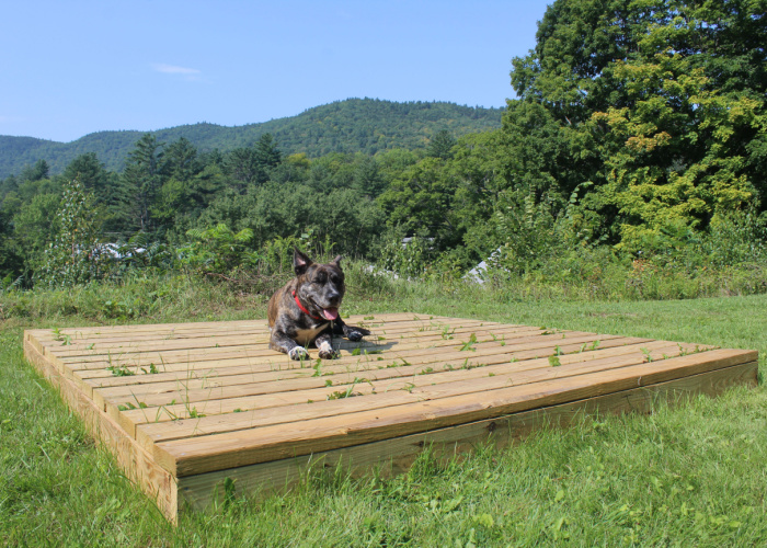 New Hampshire Dog Park