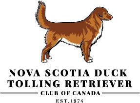 Nova Scotia Duck Tolling Retriever Club of Canada Logo