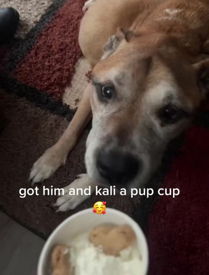 Puppuccino for Kane's last day