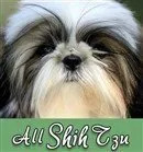 Complete Shih Tzu Information Center logo