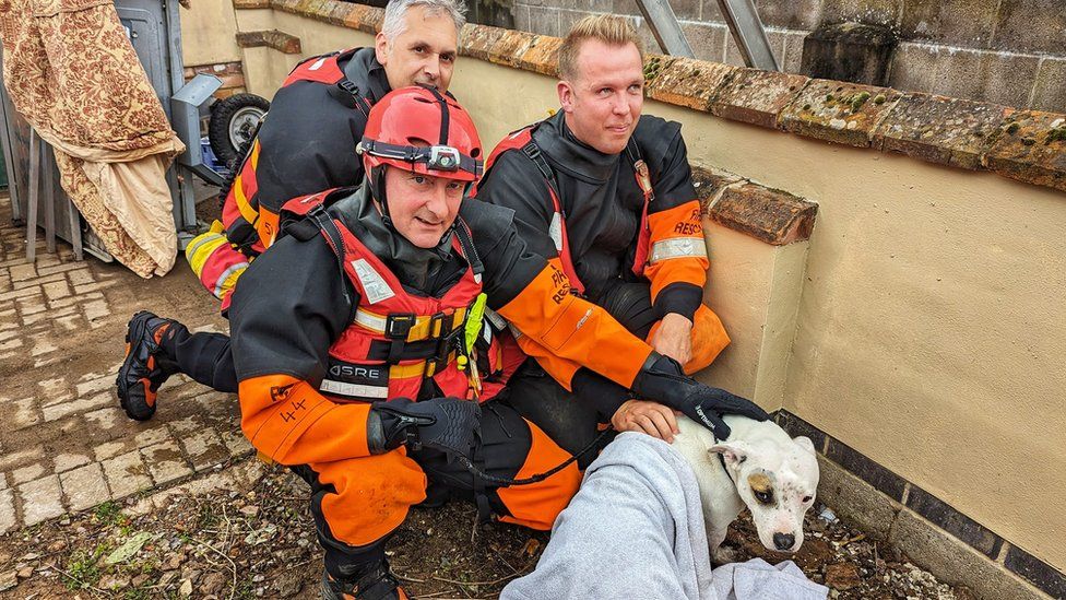 Shivering dog rescued from water tunnel Image by Leicestershire Fire and Rescue Service