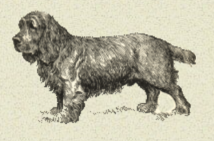 Sussex Spaniel Association logo