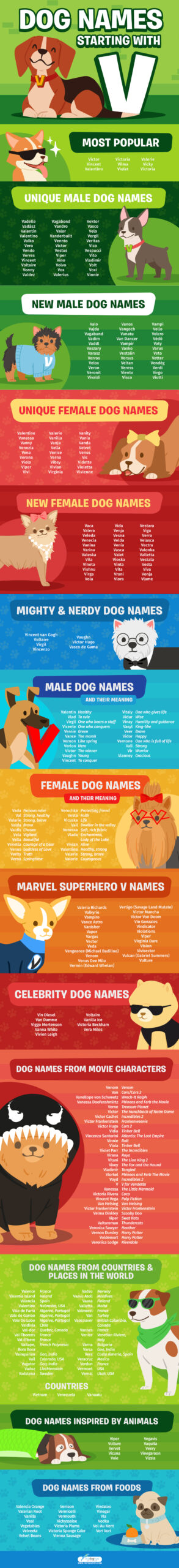 Dog Names Starting With V Infographics