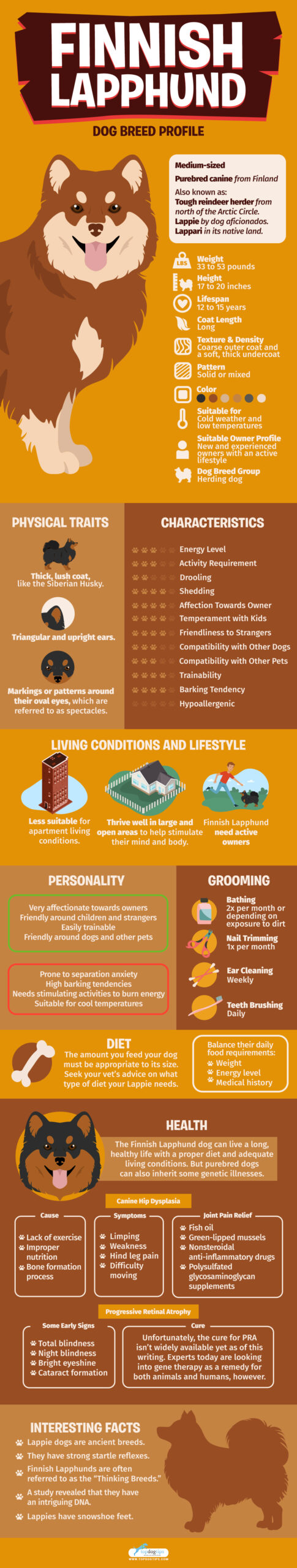 Finnish Laphund Dog Breed Profile Infographics