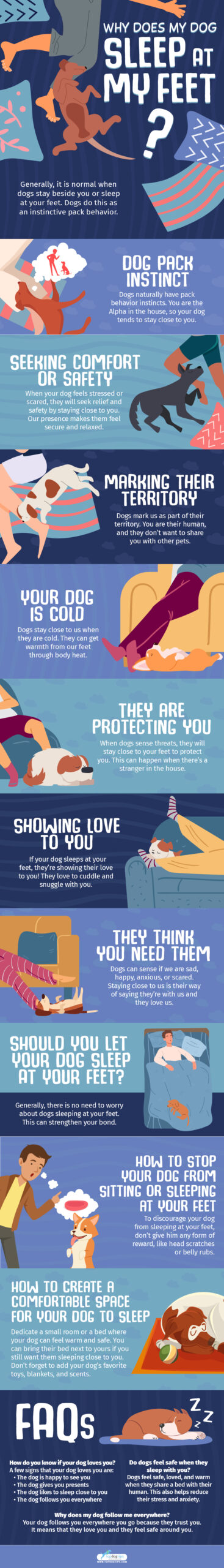 WHY DOES MY DOG SLEEP AT MY FEET Infographics