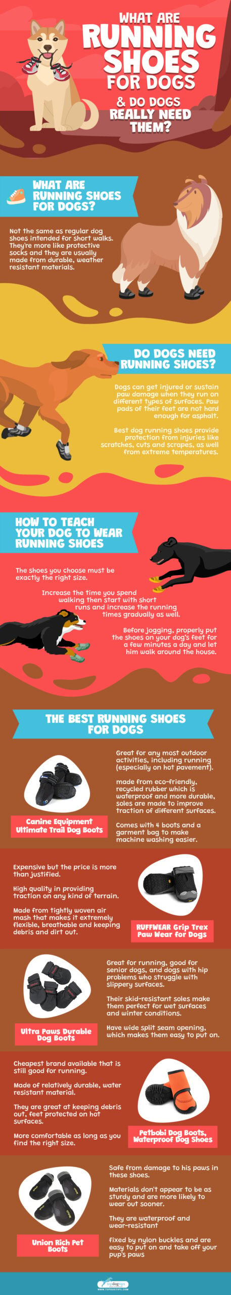 What are Running Shoes for Dogs Infographic