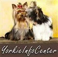 Yorkie Info Center logo