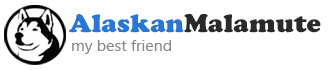 alaskan malamute best friend logo